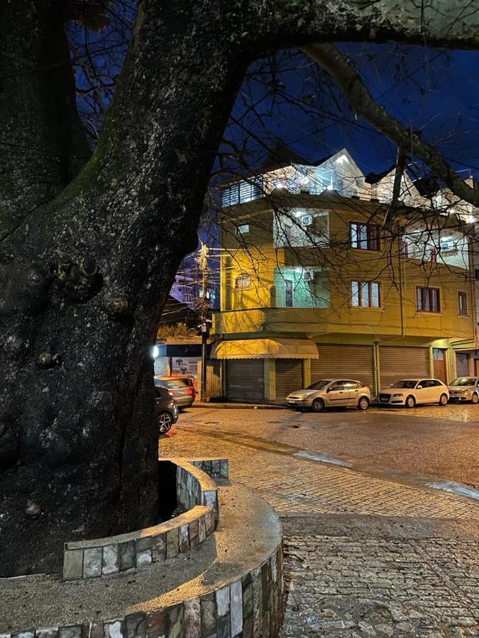שקודר Maison Centre מראה חיצוני תמונה